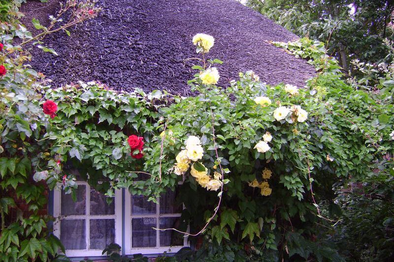 Ferienwohnung Insel Föhr